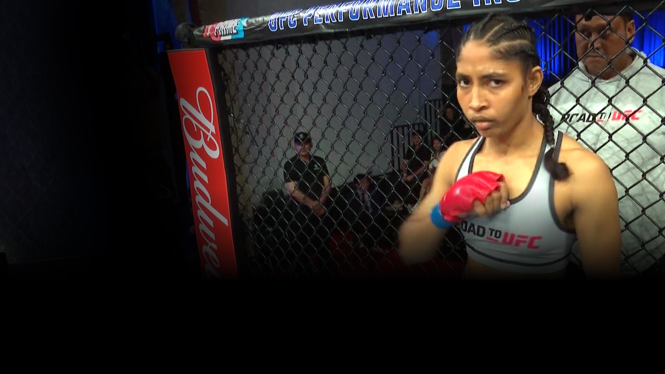 Road to UFC