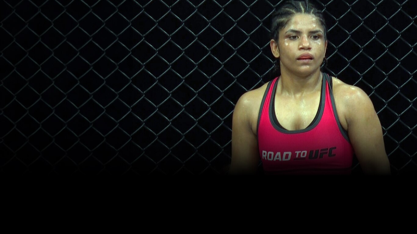 Road to UFC