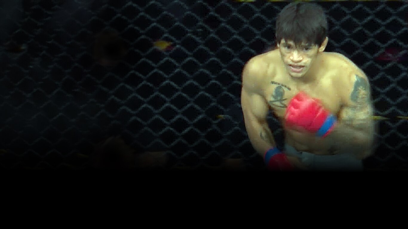 Road to UFC