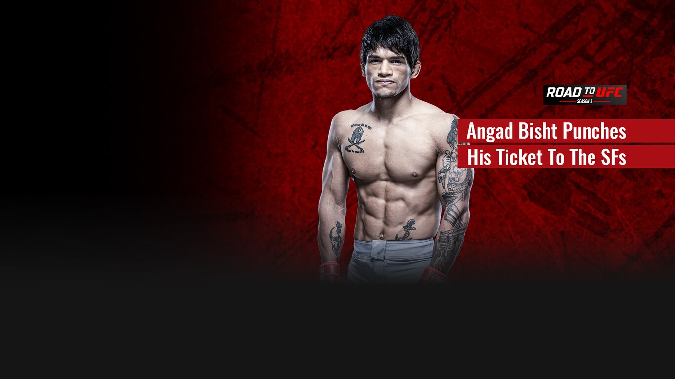 Road To UFC