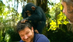 https://images.slivcdn.com/videoasset_images/show_bbc_babychimprescue_ep02_20231102t110010_landscape_thumb.jpg?h=138&w=240&q=high