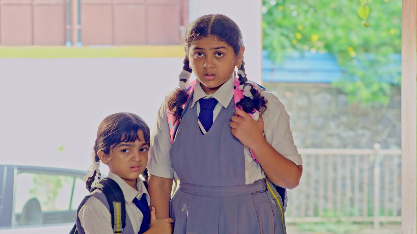 Vidhvansa