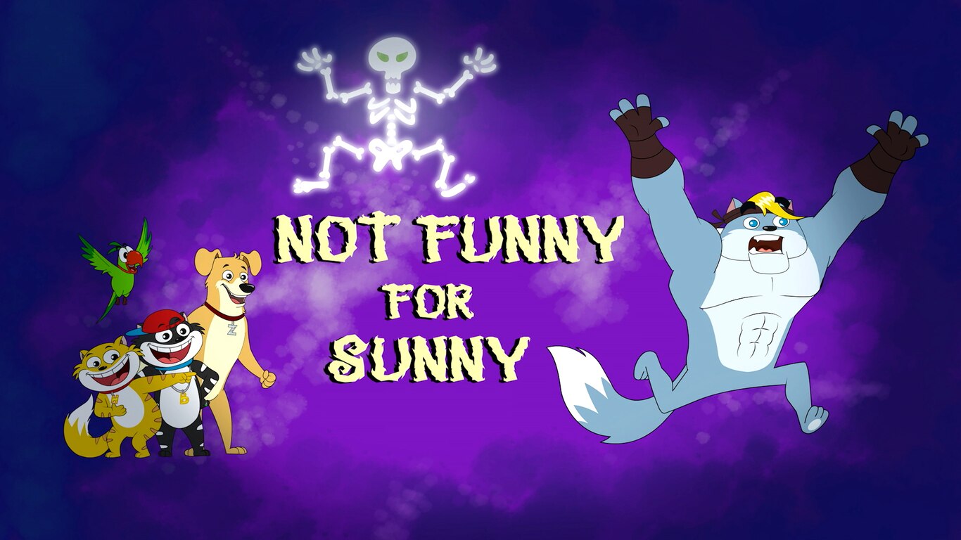 Not Funny for Sunny