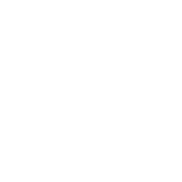 S.W.A.T.