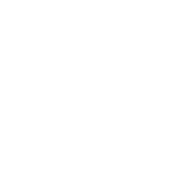 The Secret Genius of Modern Life