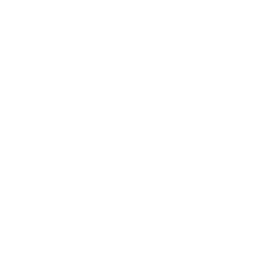UEFA Champions League 2024-25