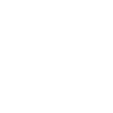 UEFA Champions League 2024-25