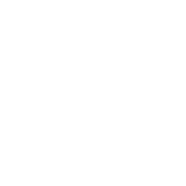 UEFA Champions League 2024-25