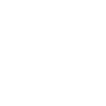 UEFA Champions League 2024-25