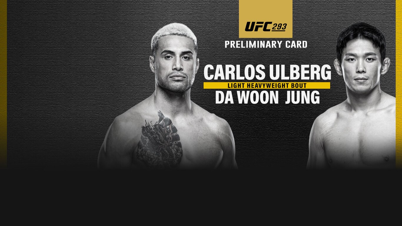 UFC 2023-24