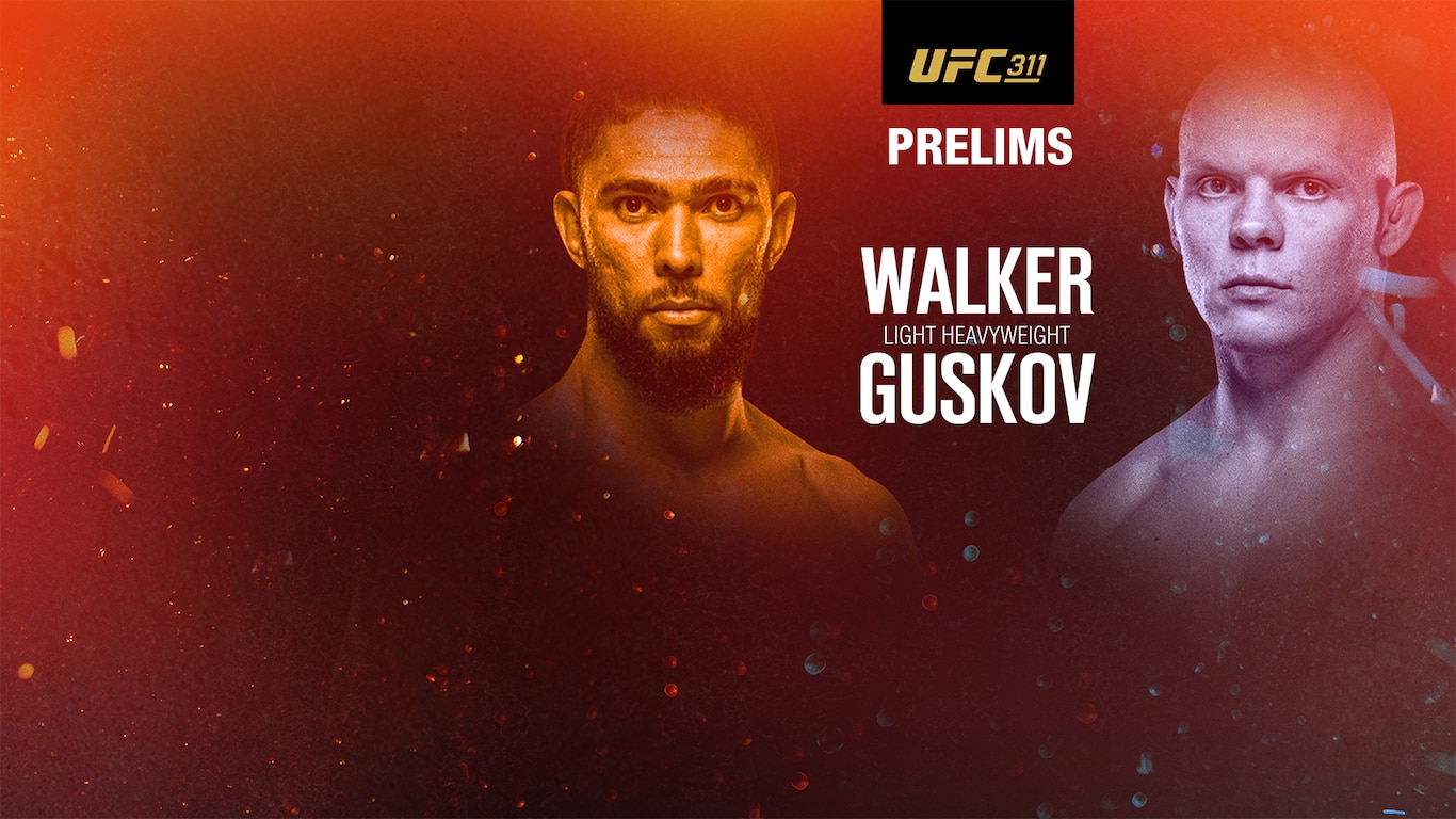 UFC 2025