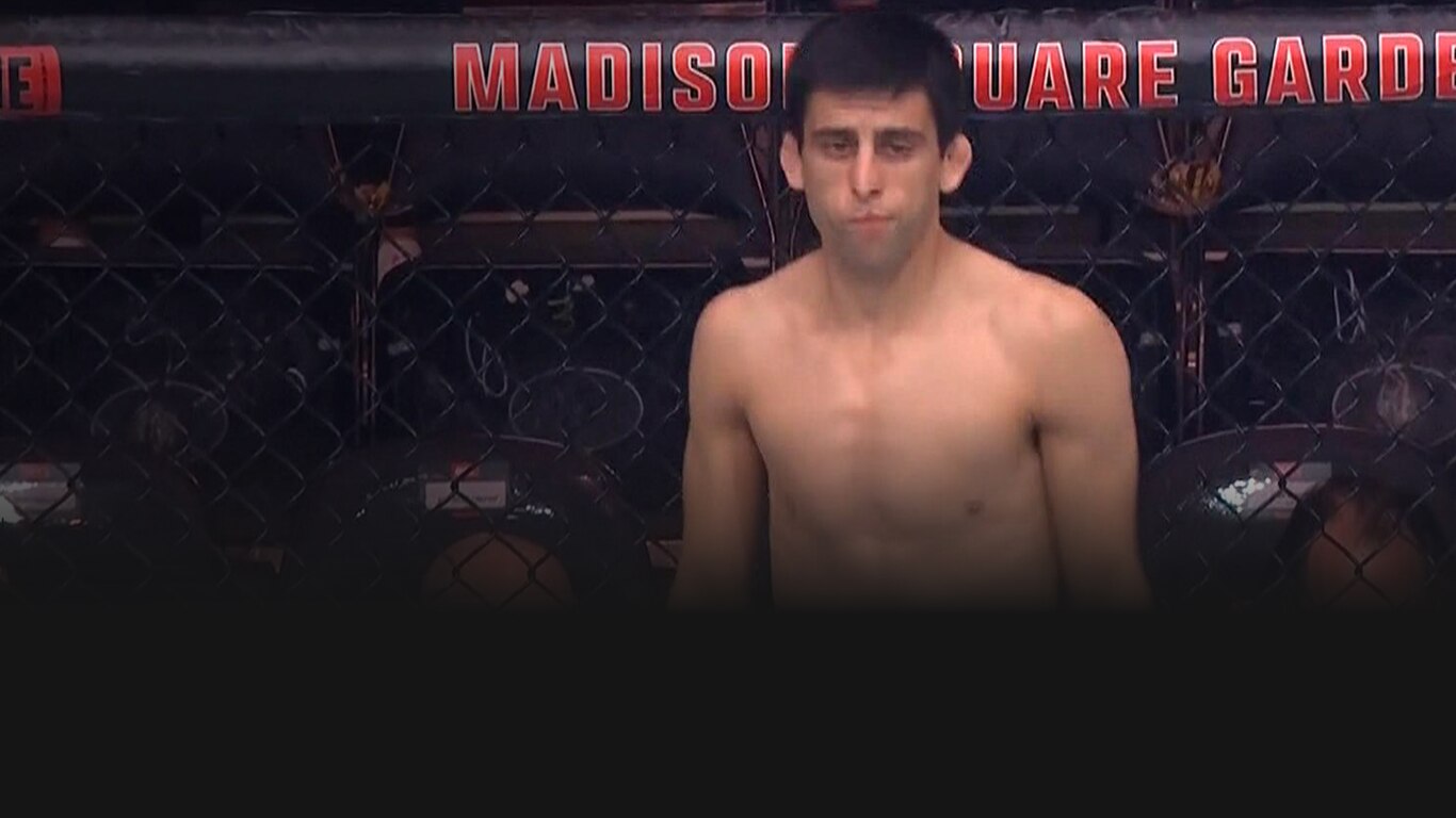 UFC 2023-24