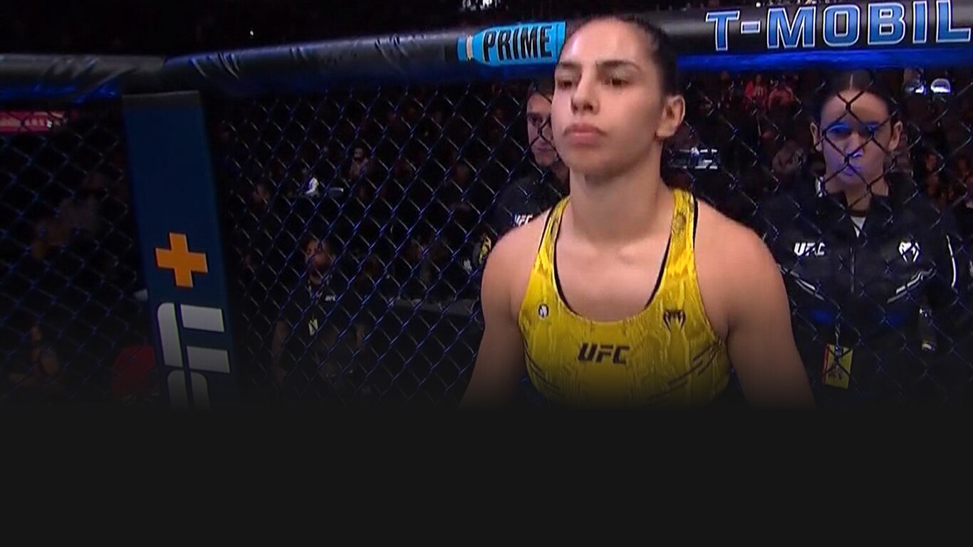 UFC 2023-24