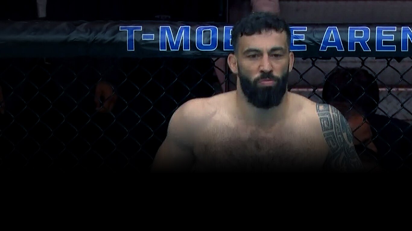 UFC 2023-24
