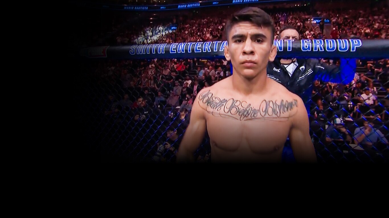 UFC 2023-24