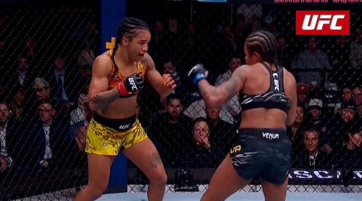 HLS - UFC 309 - Araujo vs Silva - 17 Nov 2024 from UFC 2023-24 