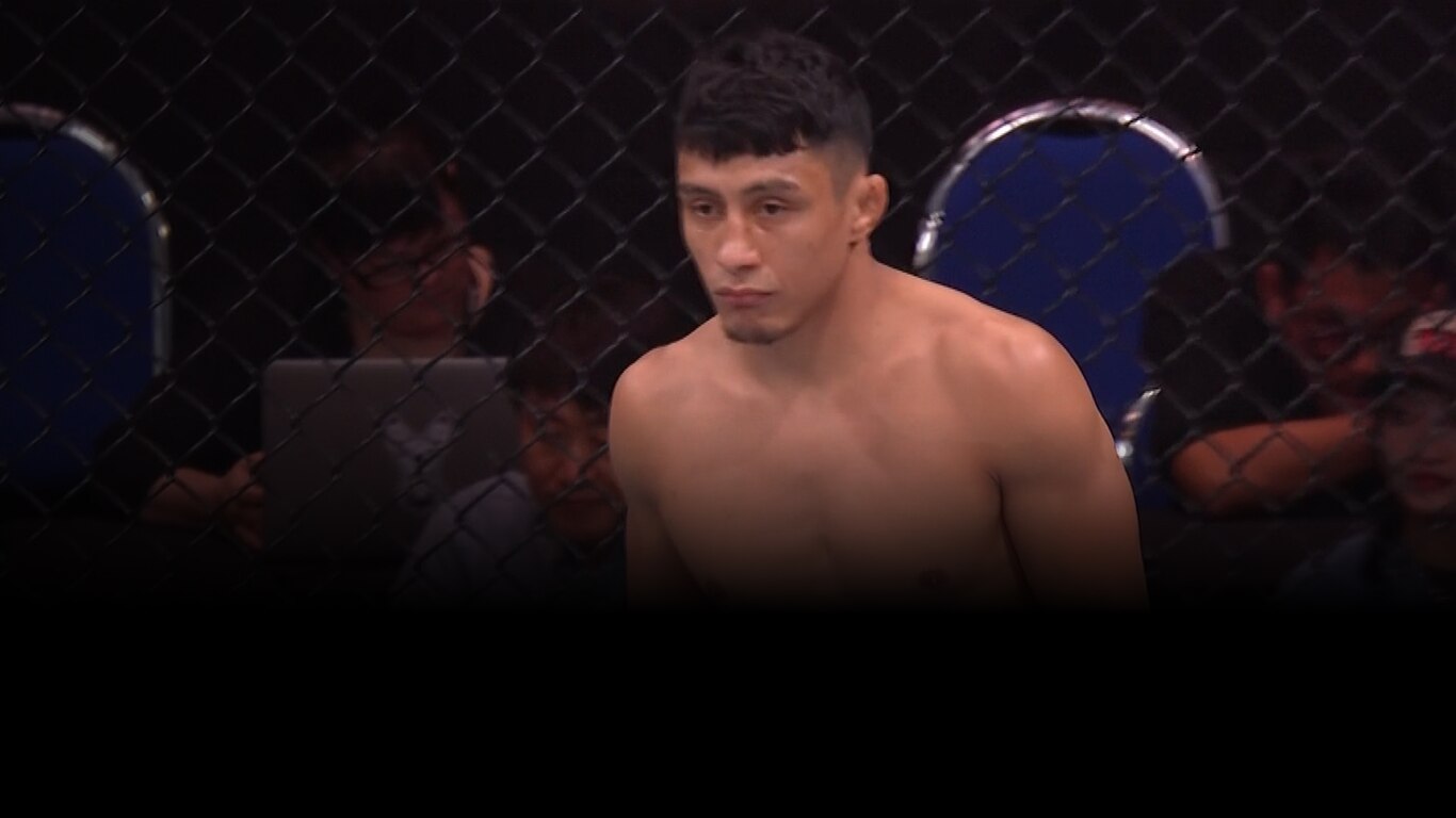 UFC 2022-23