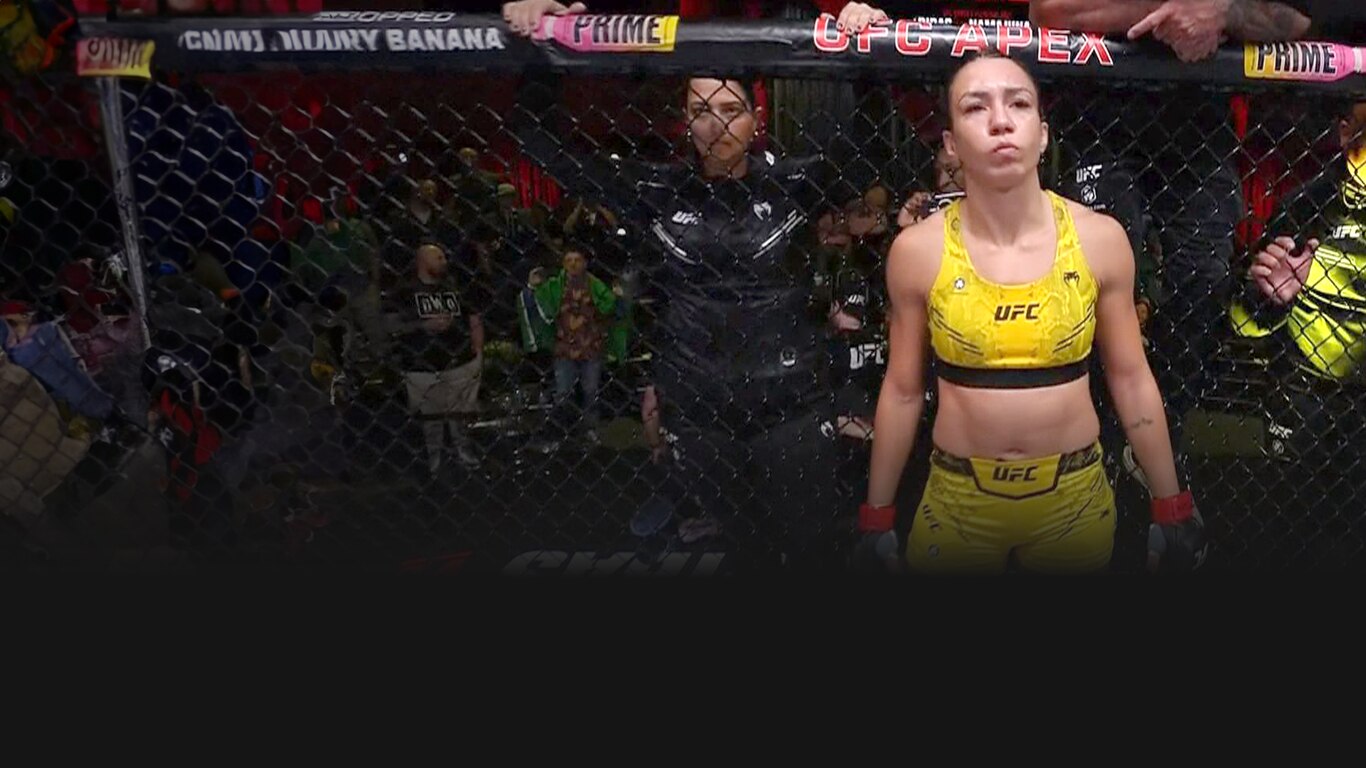 UFC 2023-24