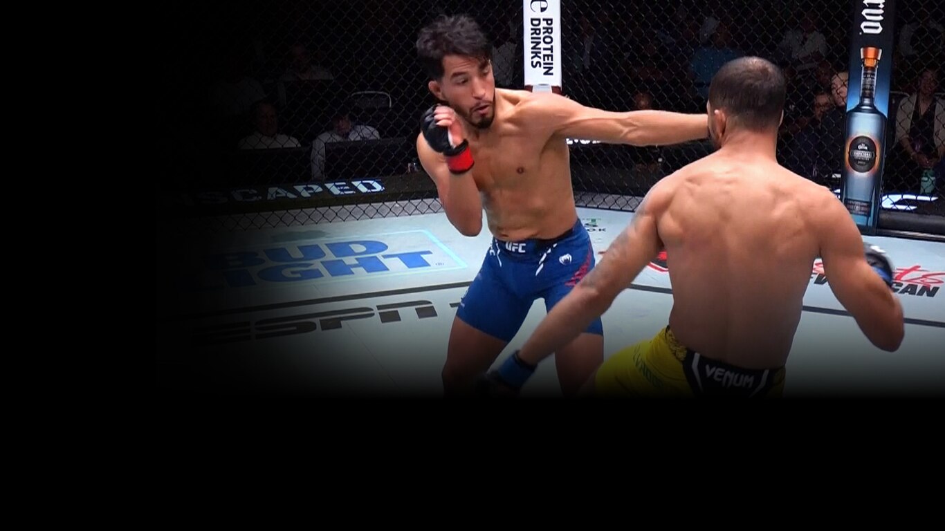 UFC 2023-24