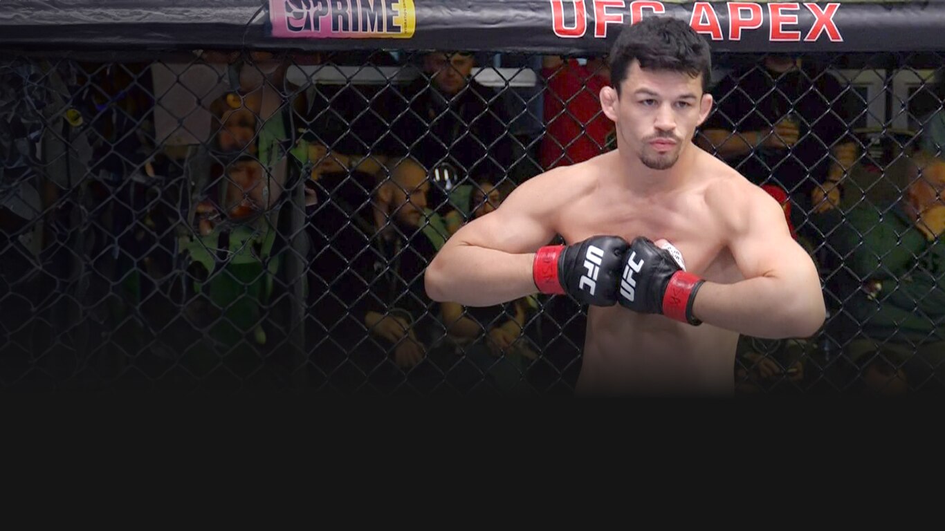 UFC 2023-24