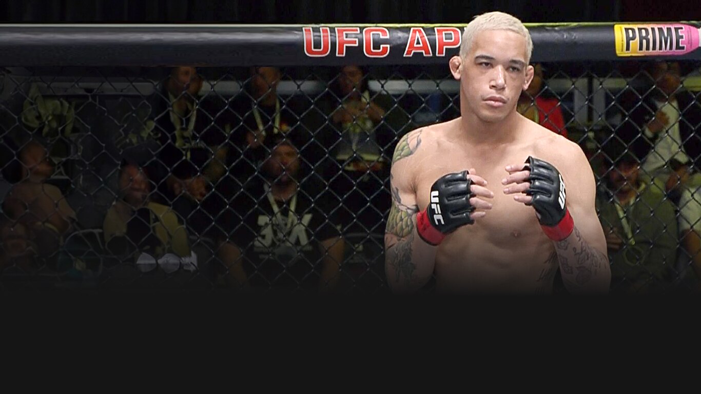 UFC 2023-24
