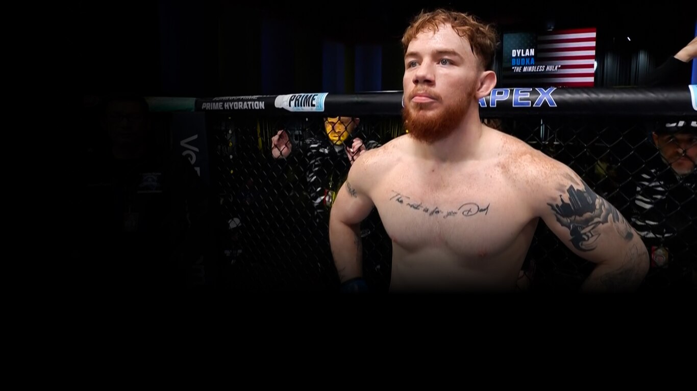 UFC Fight Night - Cannonier vs Rodrigues