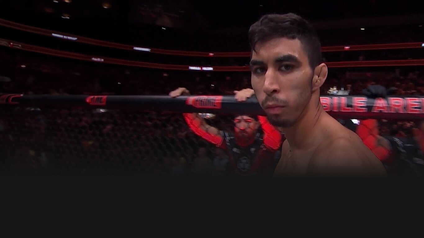 UFC 2023-24