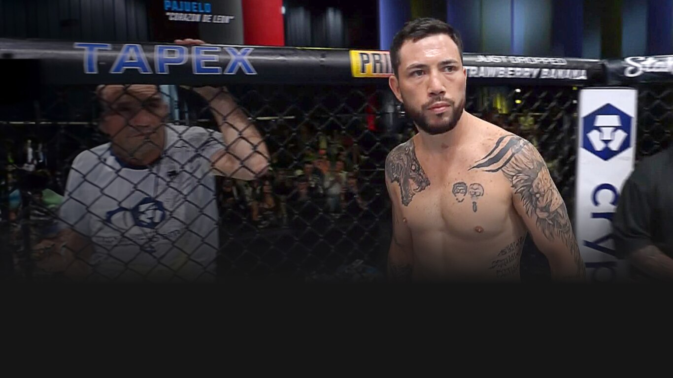 UFC 2023-24