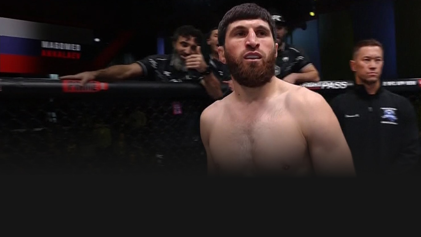 UFC 2023-24