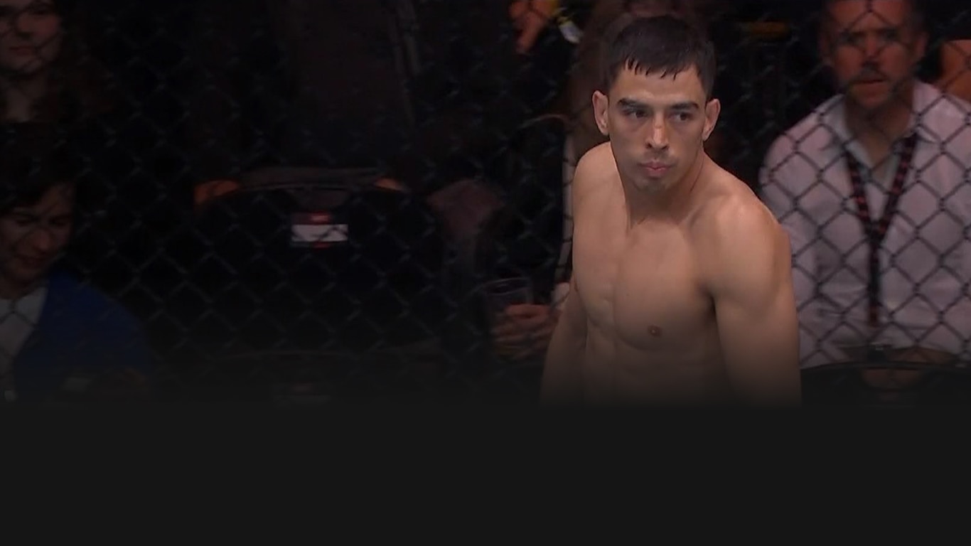UFC 2023-24
