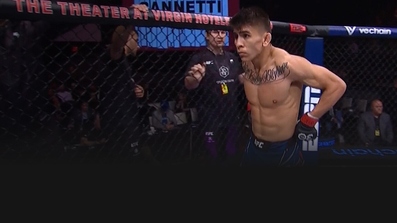 UFC 2022-23