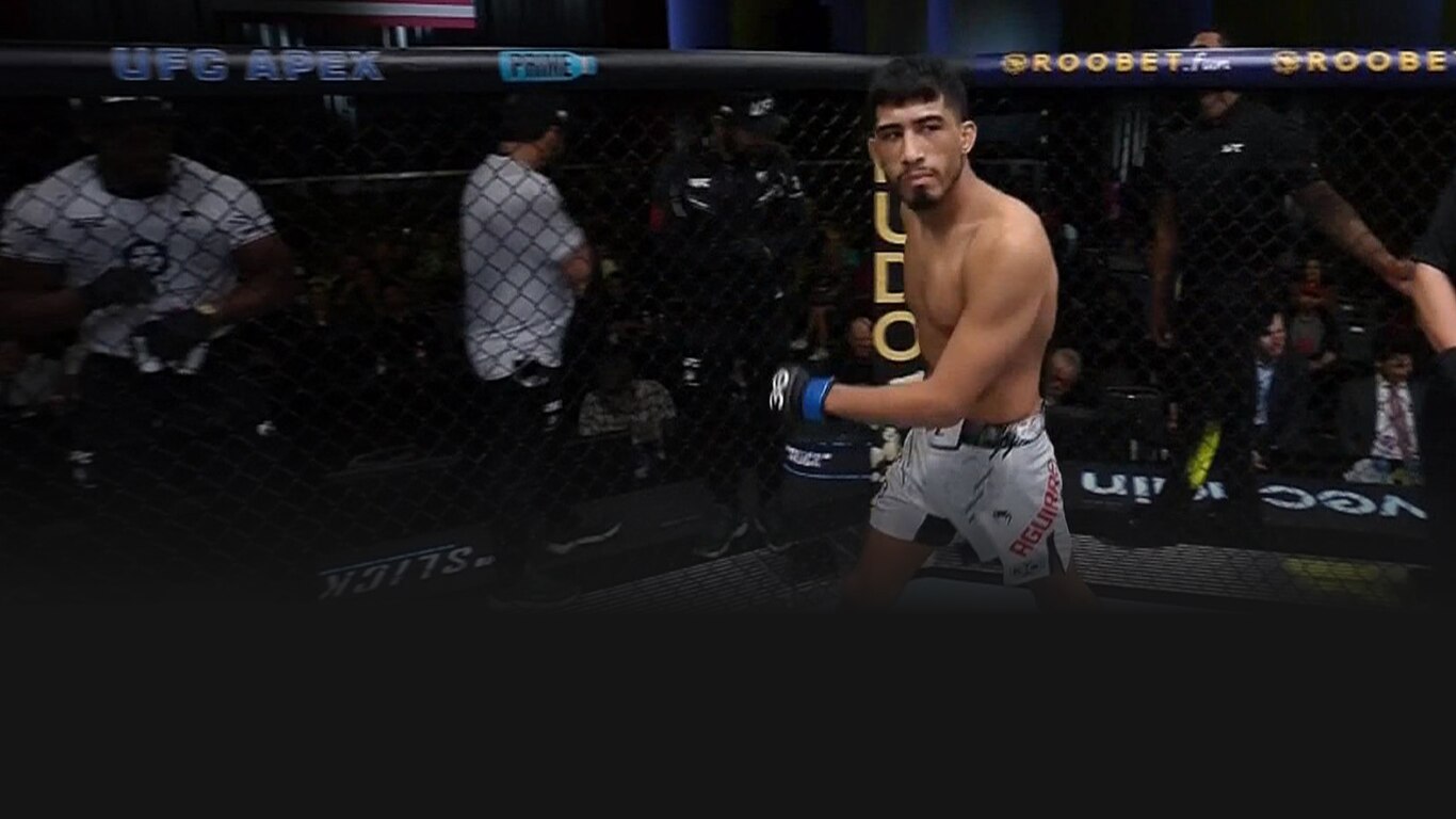 UFC 2023-24