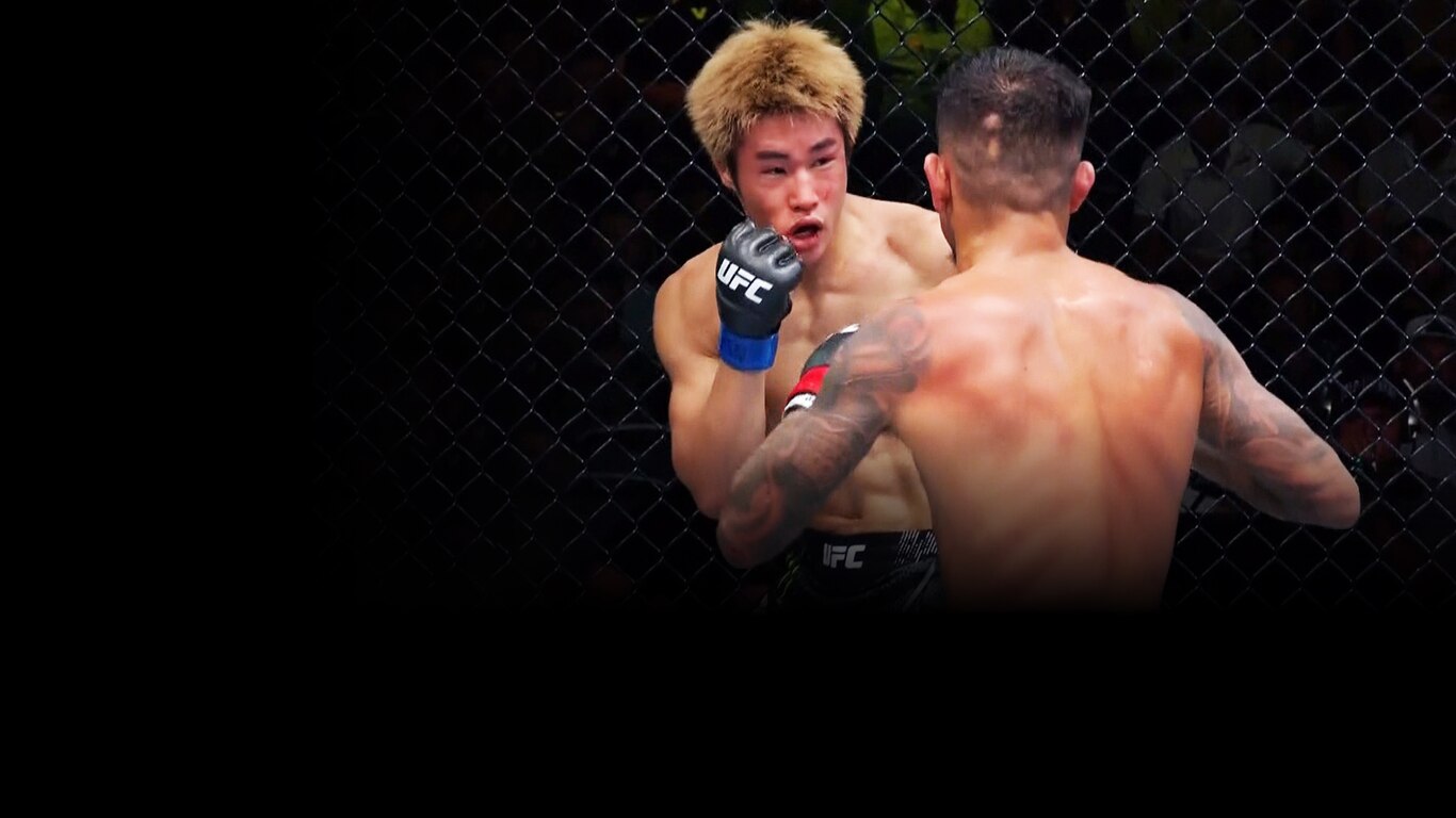 UFC 2023-24