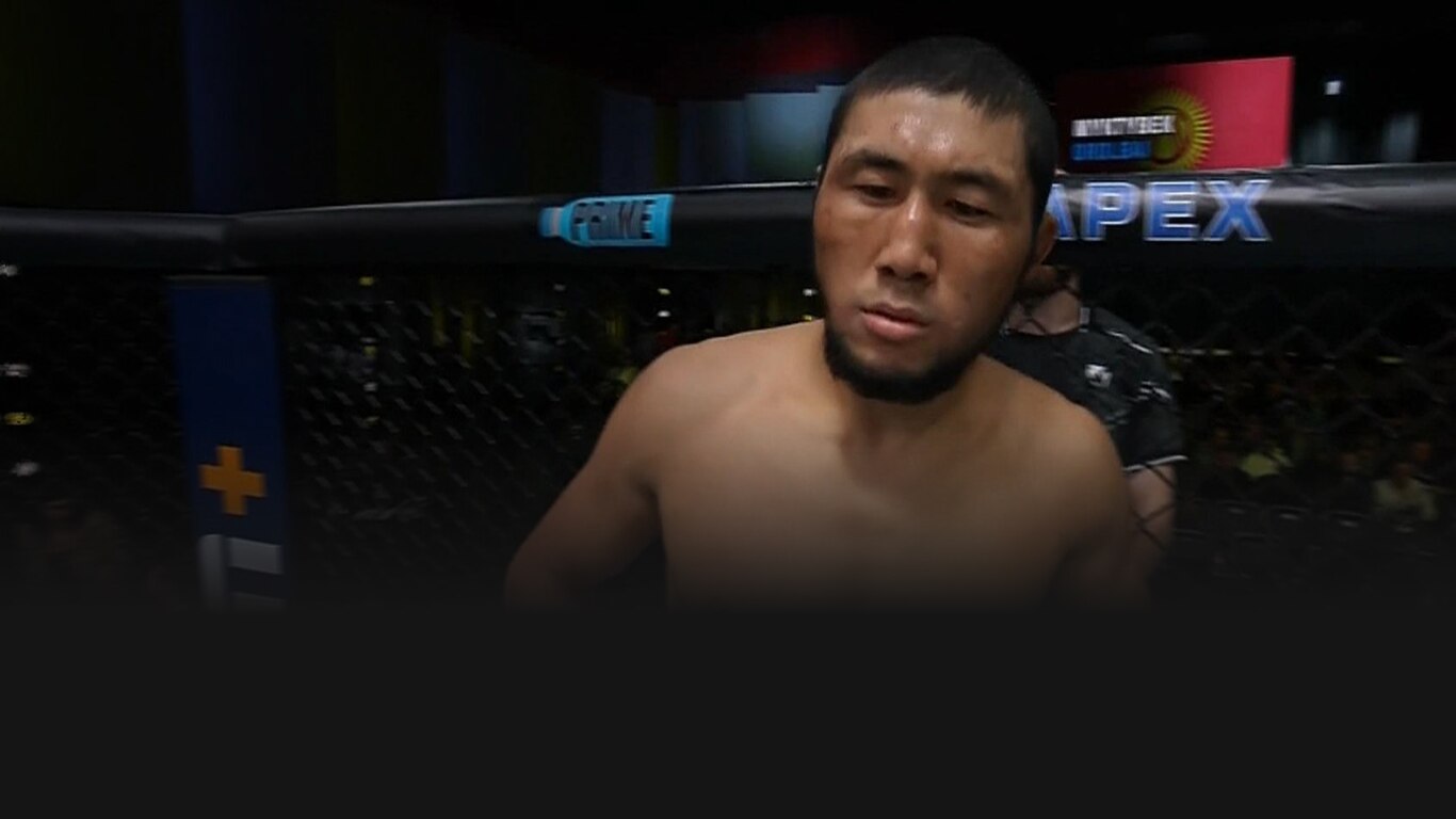 UFC 2023-24