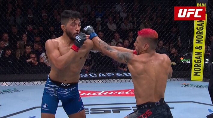 HLS - UFC Fight Night - Yanez vs Marcos - 15 Dec 2024 from UFC Fight Night - Covington vs Buckley 