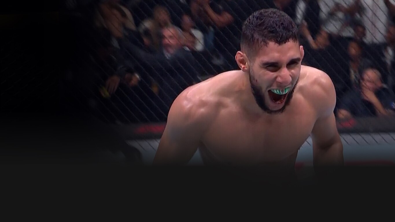 UFC 2023-24