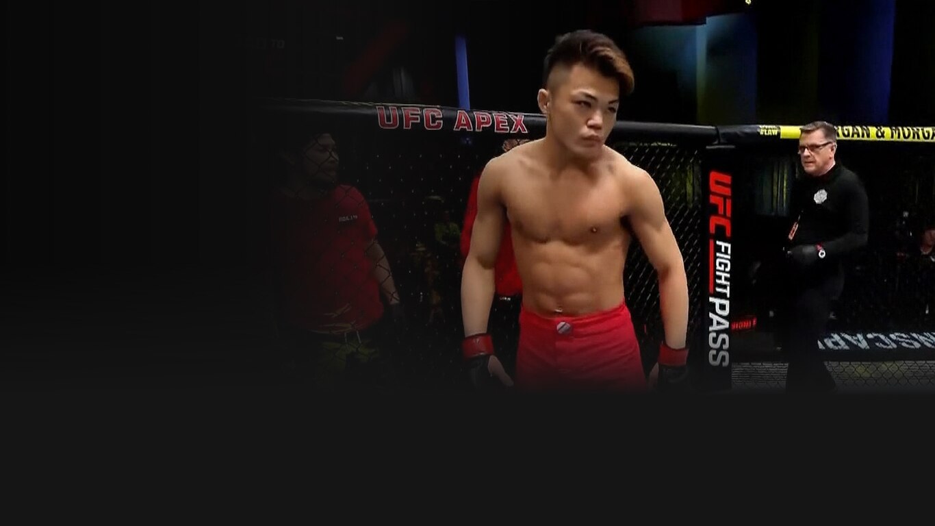 UFC Fight Night - Tybura vs Spivac 2