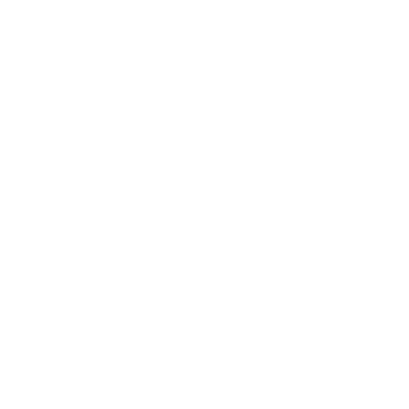 UFC 2023-24