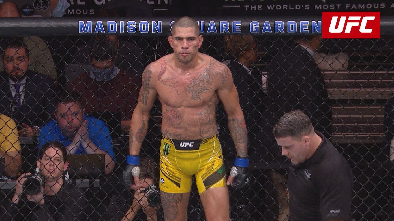 UFC 2022-23