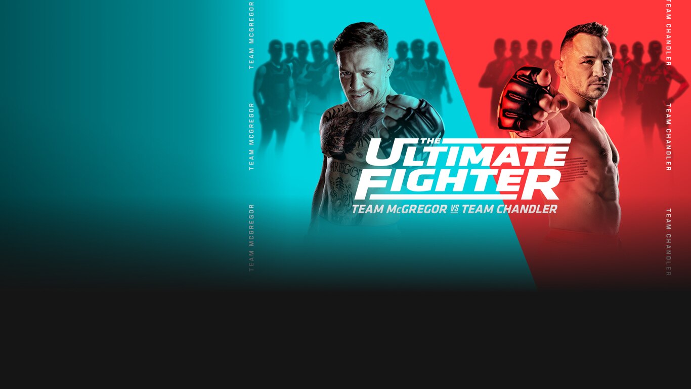 The Ultimate Fighter
